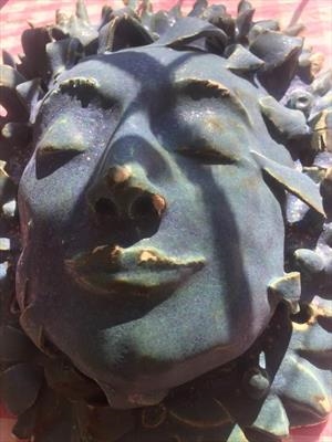 Female Face.
