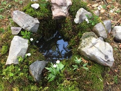 Conception Pool.