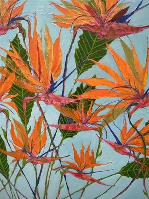 Strelitzia. Birds of Paradise.