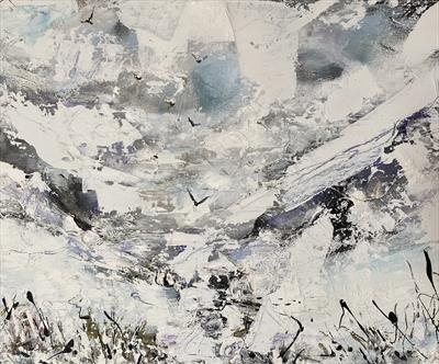 Soaring above The  Snow Valley