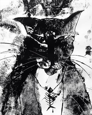My angry cat