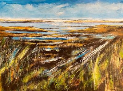 Salins d'Hyères towards Almanarre