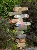 Confused and Lost with Nowhere to Go. by Jane Burt, Installation