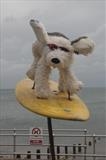 It's A Dog's Life by Jane Burt, Sculpture, Stuffed dog, frame and surfboard
