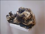 Man's Best Friend by Jane Burt, Sculpture, Clay