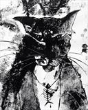 My Angry Cat by Jane Burt, Giclee Print, Mono type original print