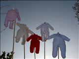 Somebody's Baby by Jane Burt, Photography, Installation