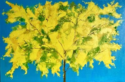 mimosa Tree by Jane Burt, Painting, Oil on canvas